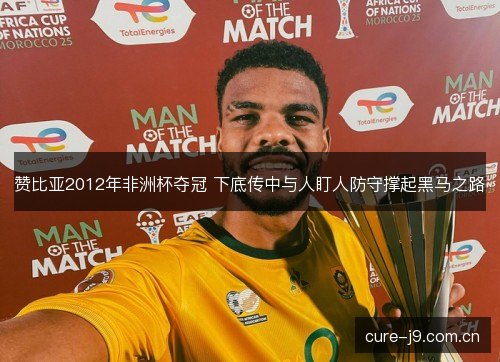 赞比亚2012年非洲杯夺冠 下底传中与人盯人防守撑起黑马之路 赞比亚2012年非洲杯夺冠 下底传中与人盯人防守撑起黑马之路